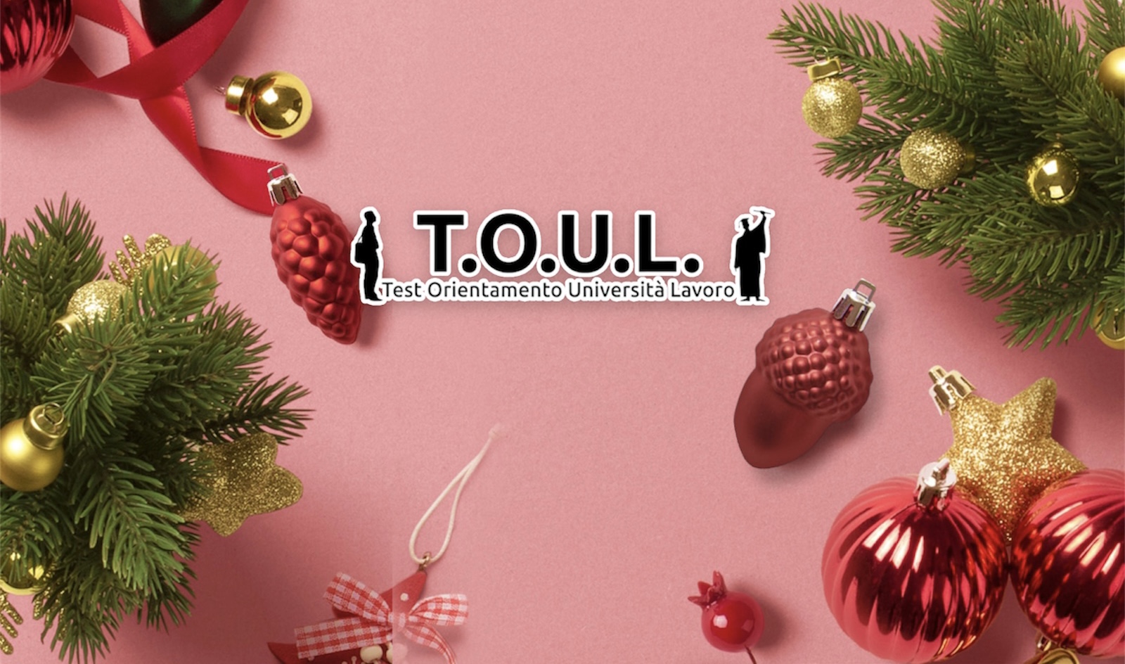 T.O.U.L. SRL